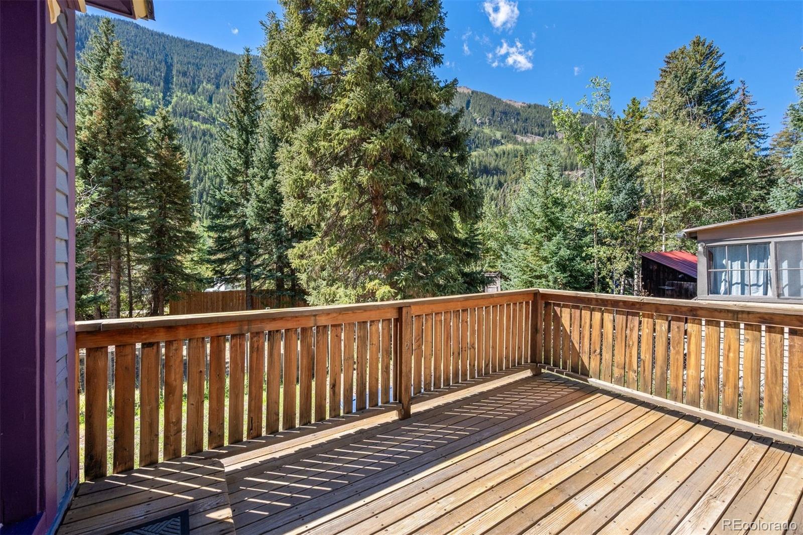 MLS Image #28 for 290  main street,silver plume, Colorado