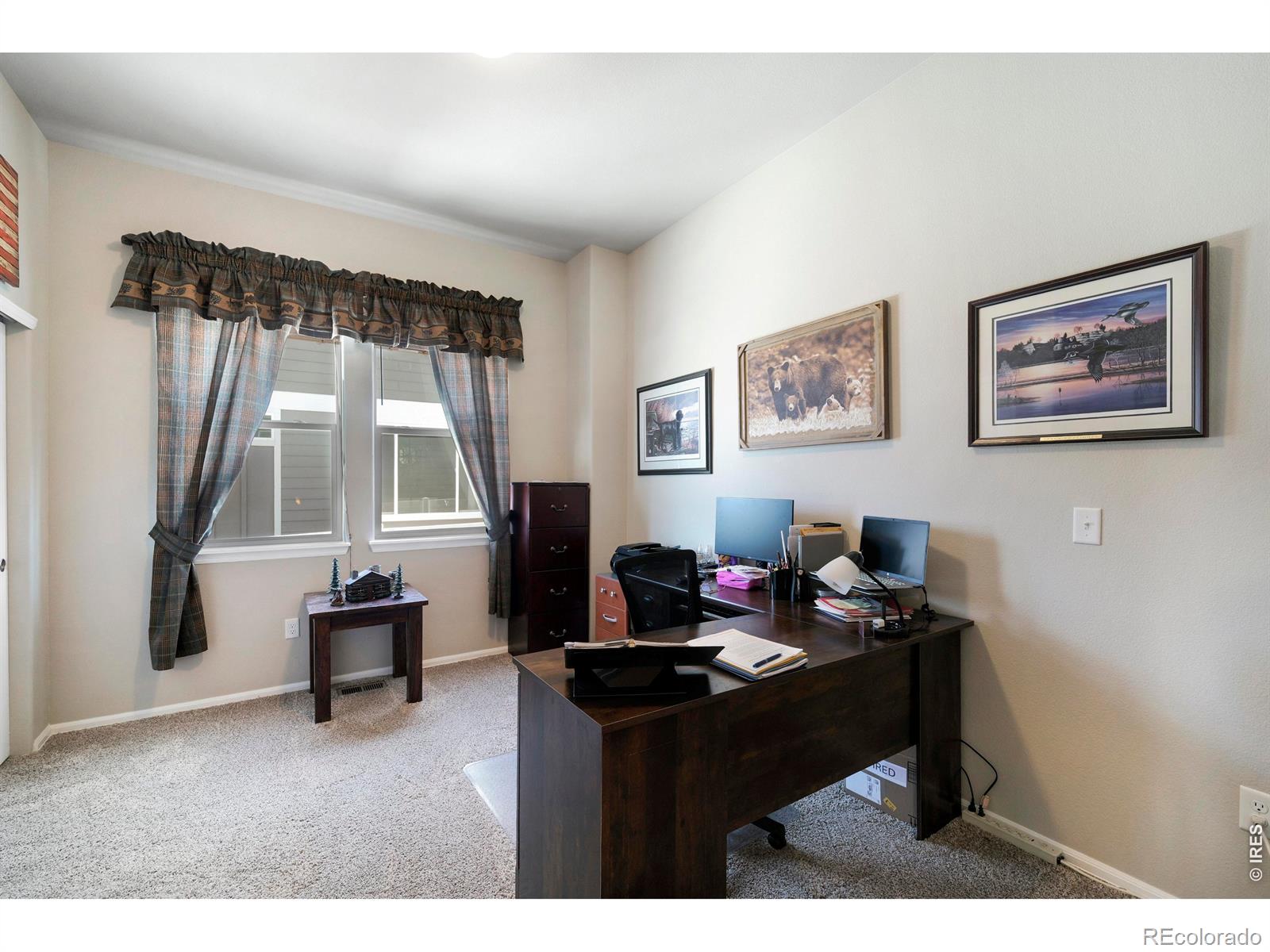 MLS Image #20 for 1210  muskox street,severance, Colorado