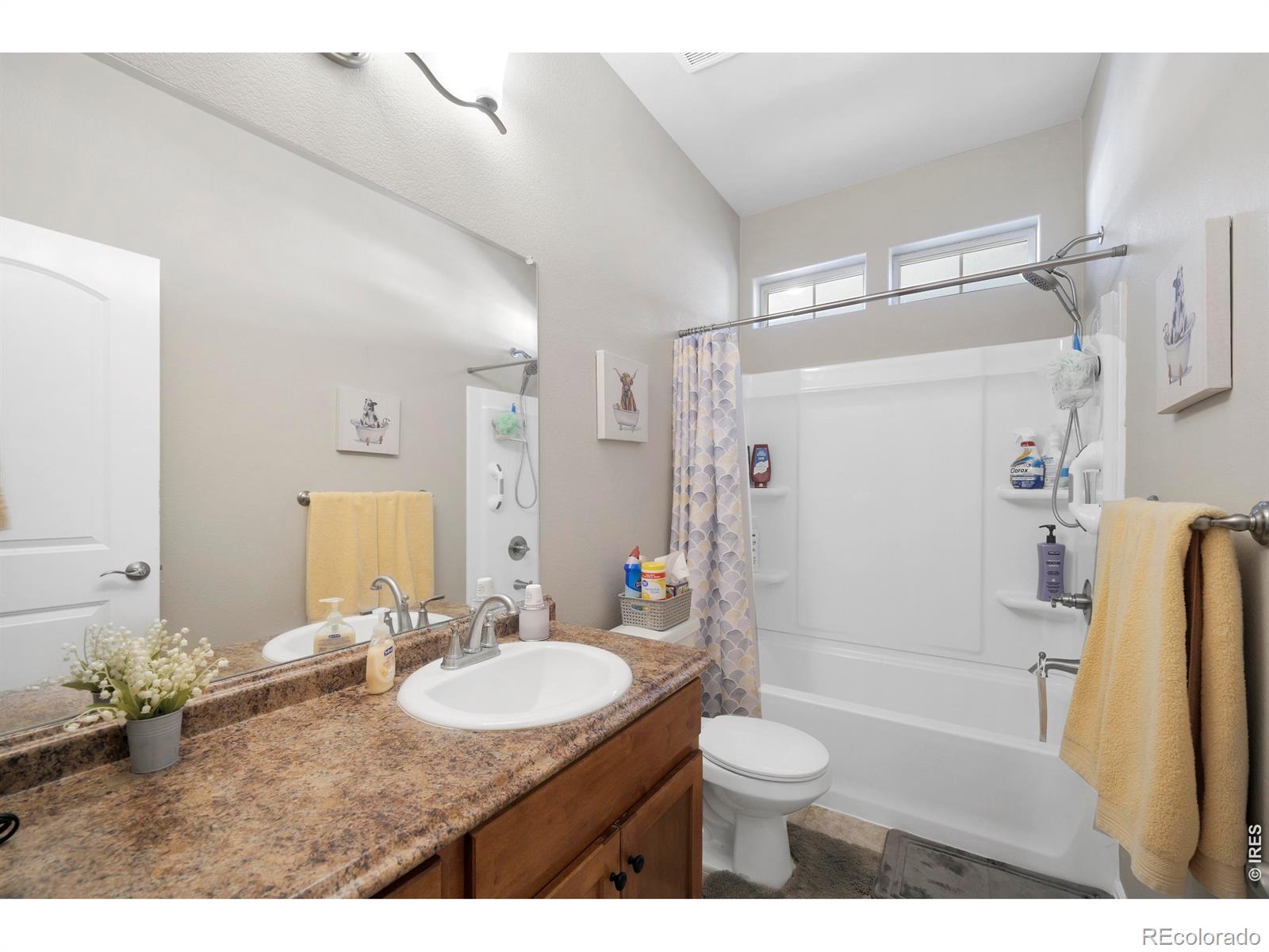 MLS Image #22 for 1210  muskox street,severance, Colorado