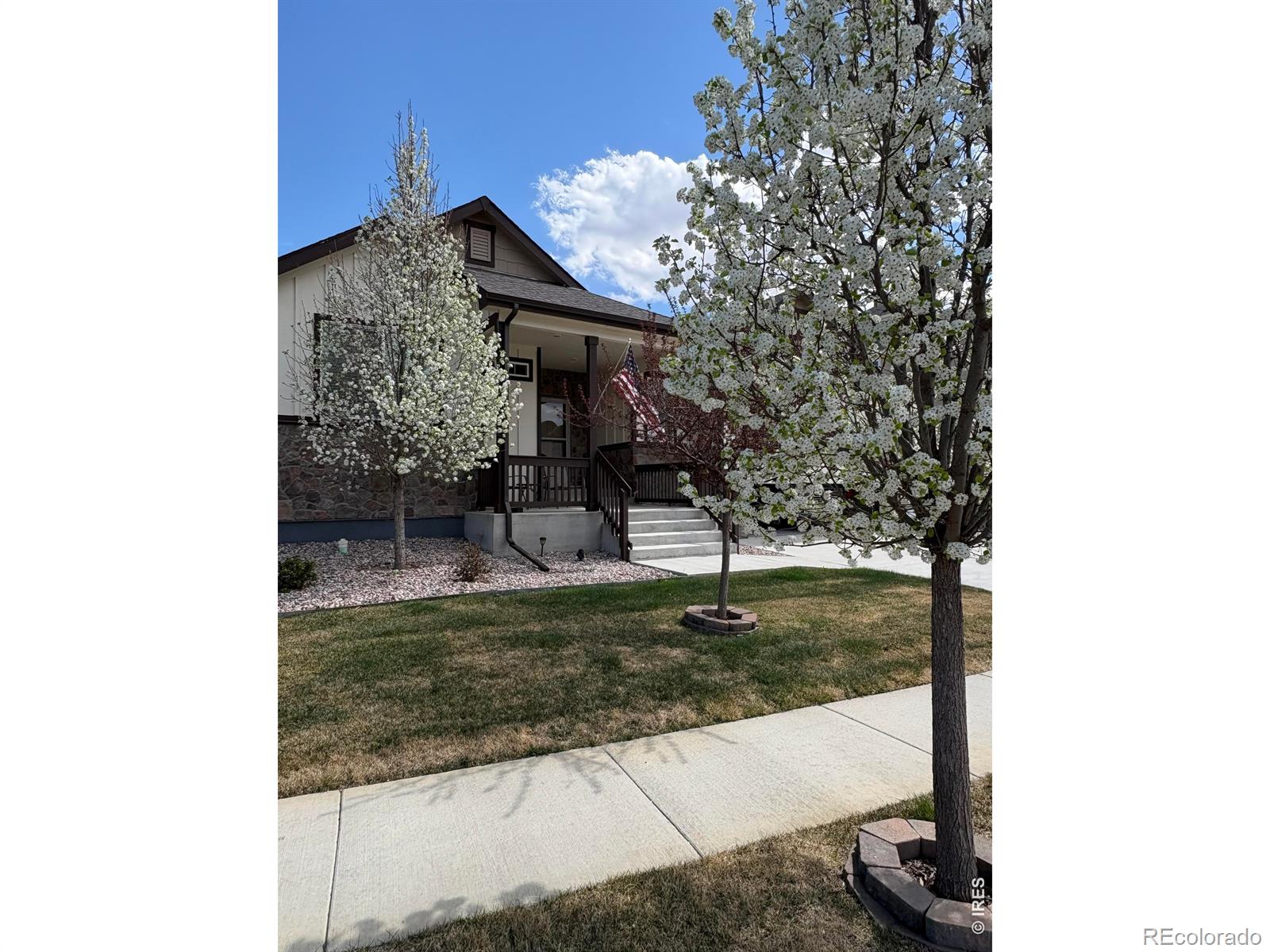 MLS Image #41 for 1210  muskox street,severance, Colorado