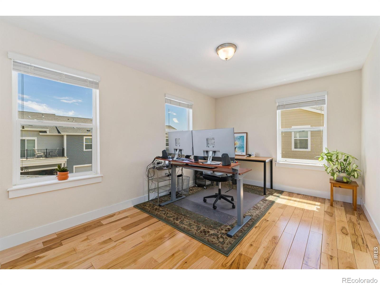 MLS Image #14 for 671  robert street,longmont, Colorado