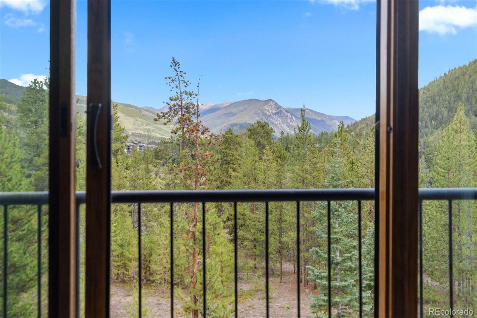MLS Image #11 for 21680  us highway 6 ,dillon, Colorado