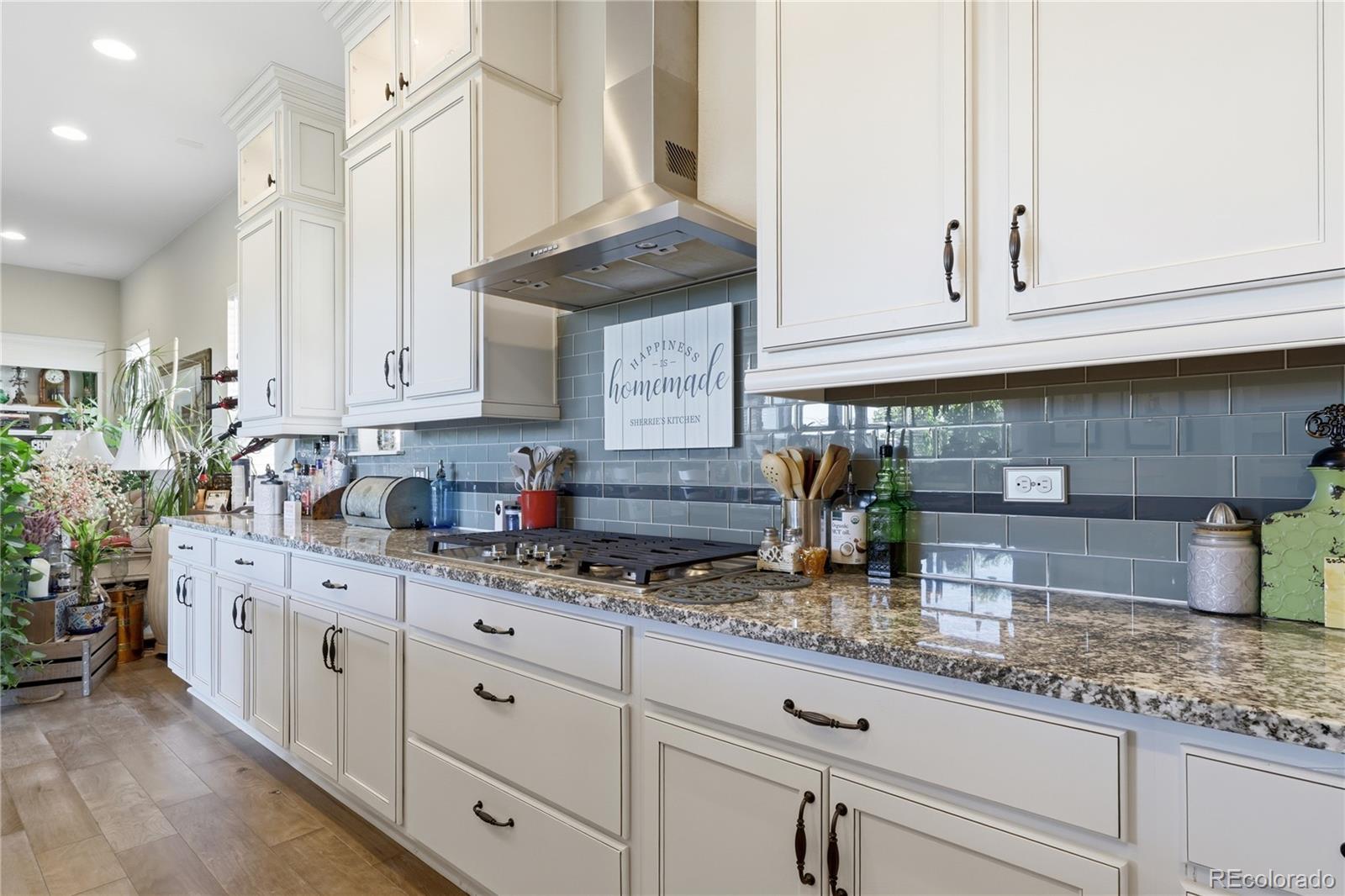 MLS Image #18 for 1183  brocade drive,highlands ranch, Colorado