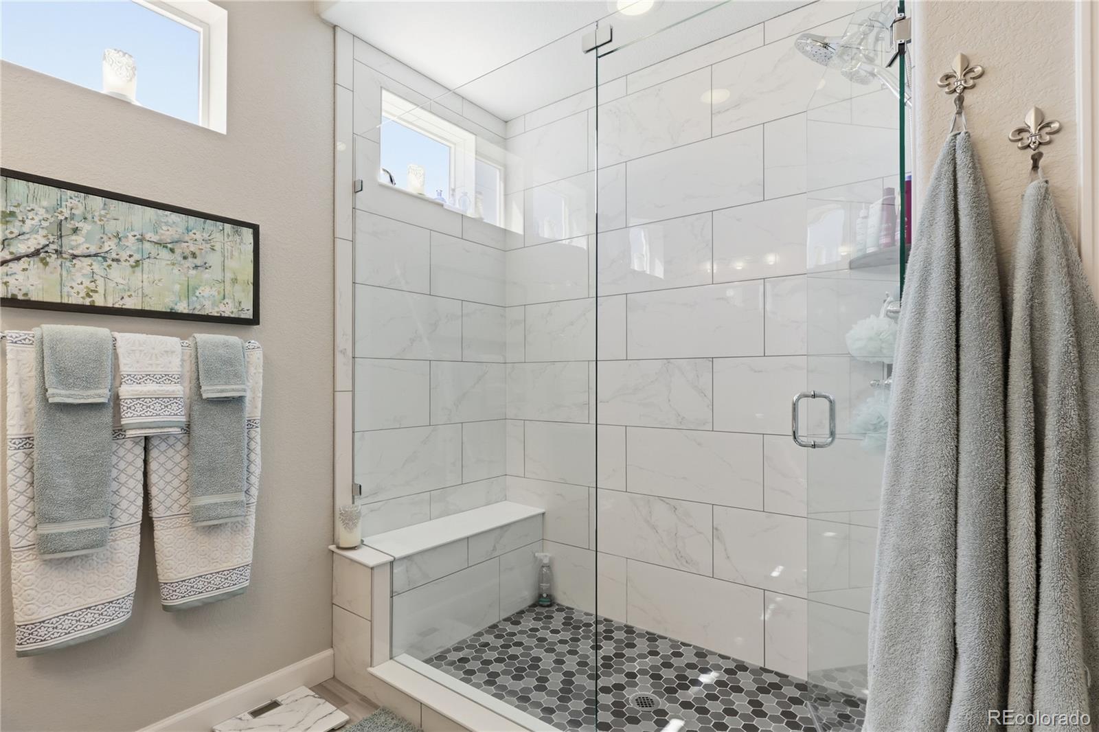 MLS Image #29 for 1183  brocade drive,highlands ranch, Colorado
