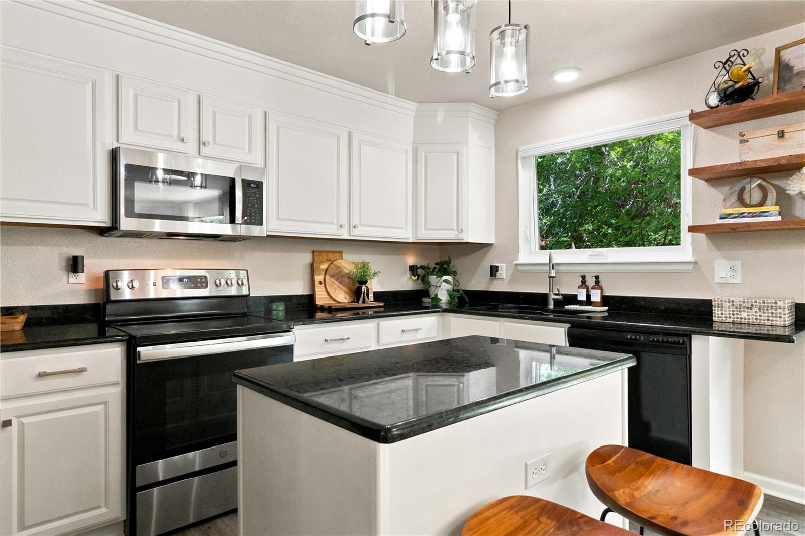 MLS Image #13 for 11312  tumbleweed way,parker, Colorado