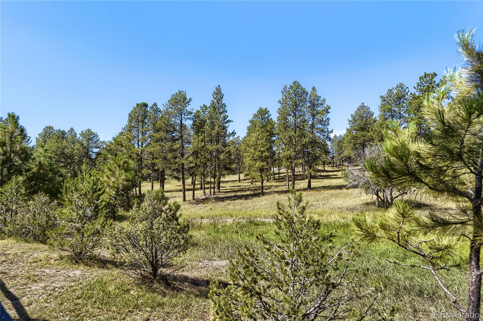 MLS Image #47 for 5469  fox sparrow road,parker, Colorado