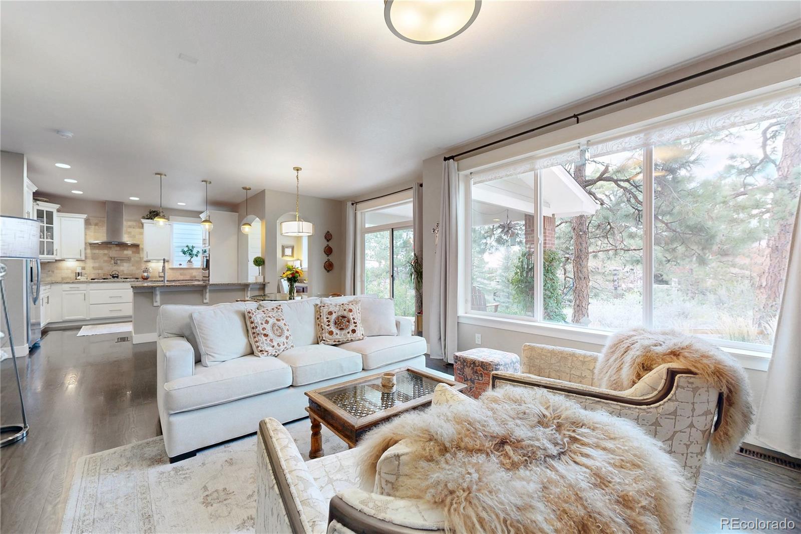 MLS Image #5 for 20303  spruce point place,parker, Colorado