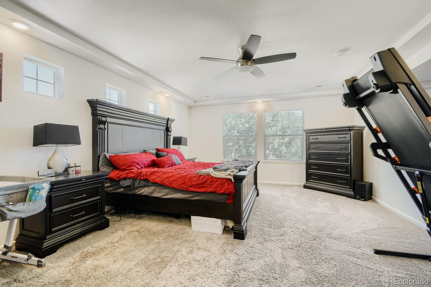 MLS Image #12 for 4964  malaya street,denver, Colorado