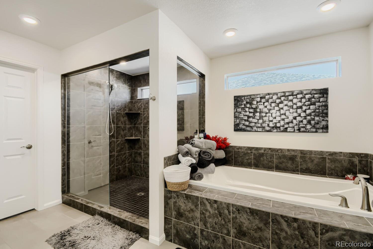 MLS Image #15 for 4964  malaya street,denver, Colorado