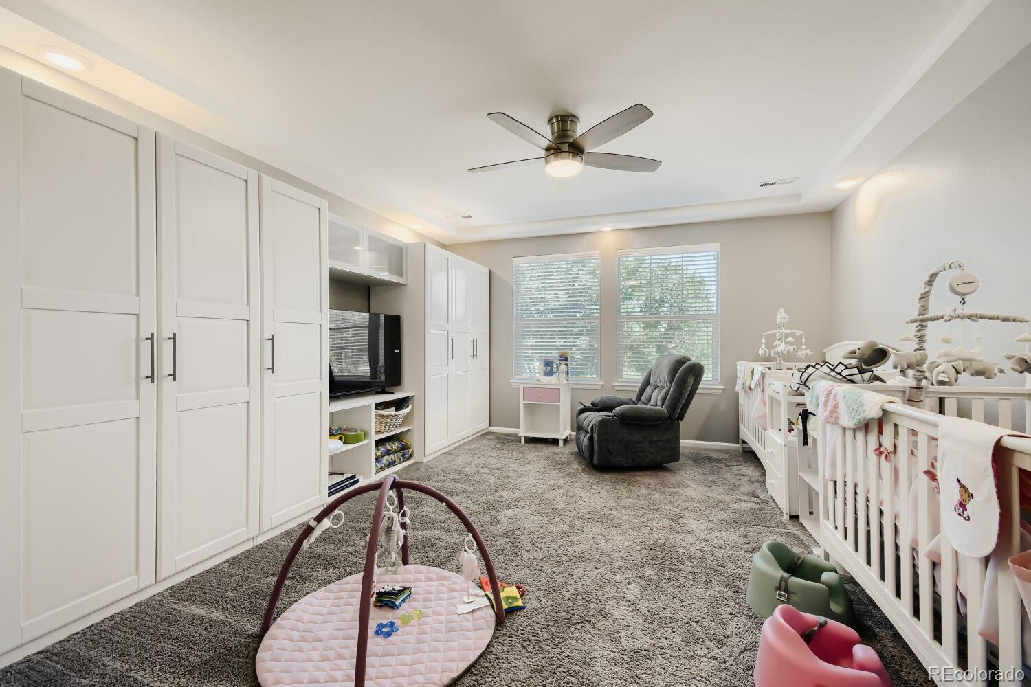 MLS Image #16 for 4964  malaya street,denver, Colorado