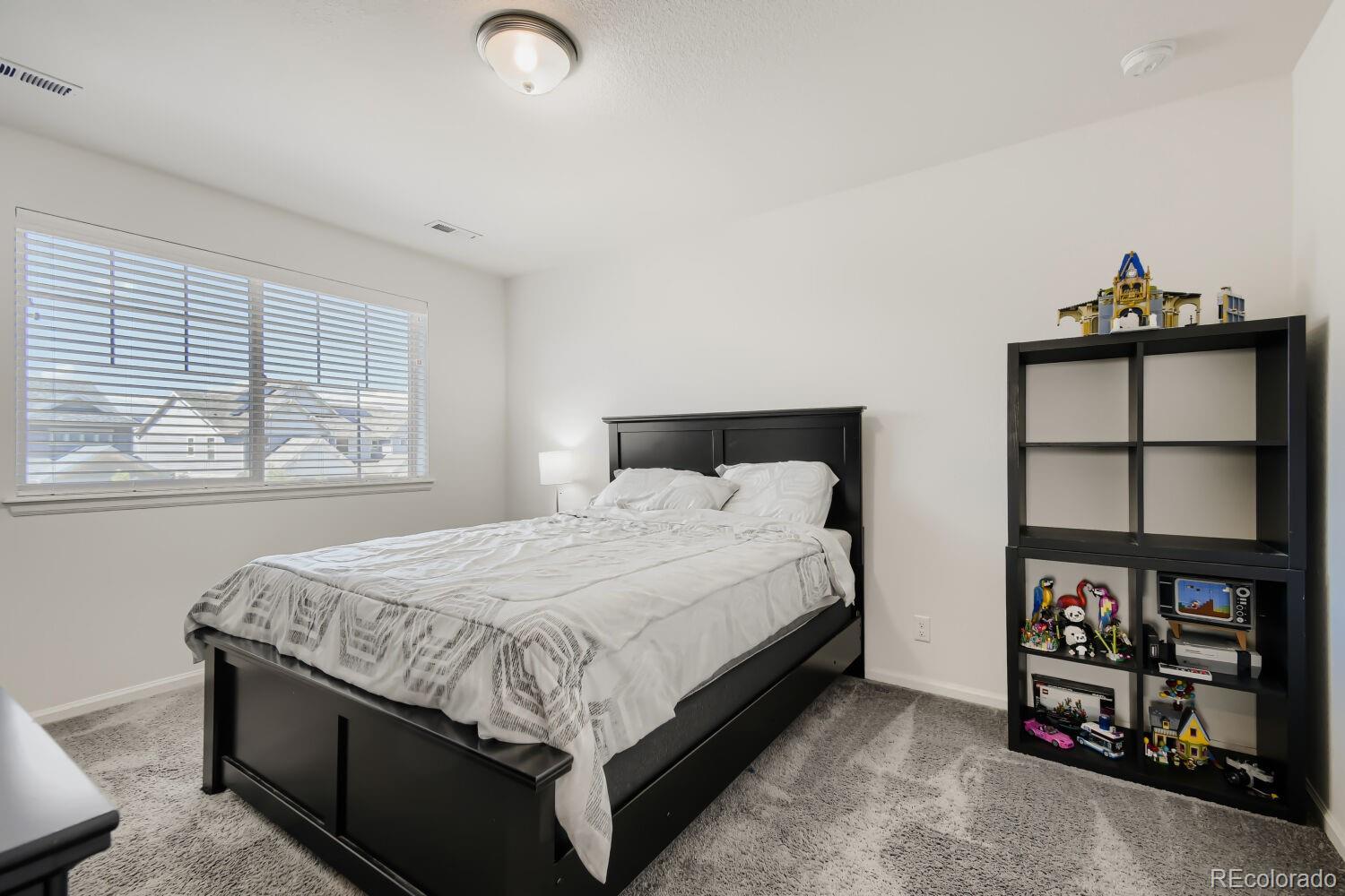 MLS Image #18 for 4964  malaya street,denver, Colorado