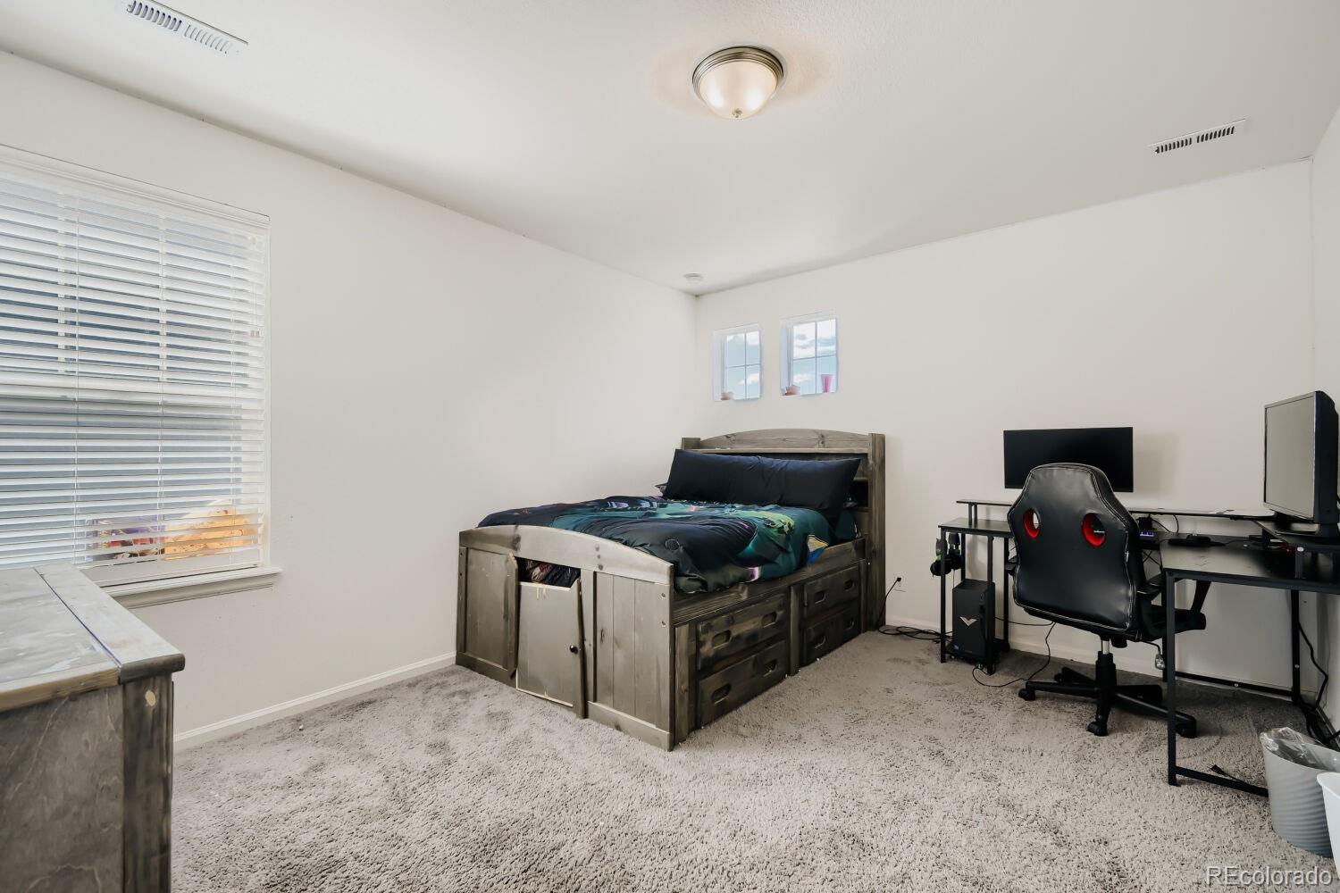 MLS Image #19 for 4964  malaya street,denver, Colorado