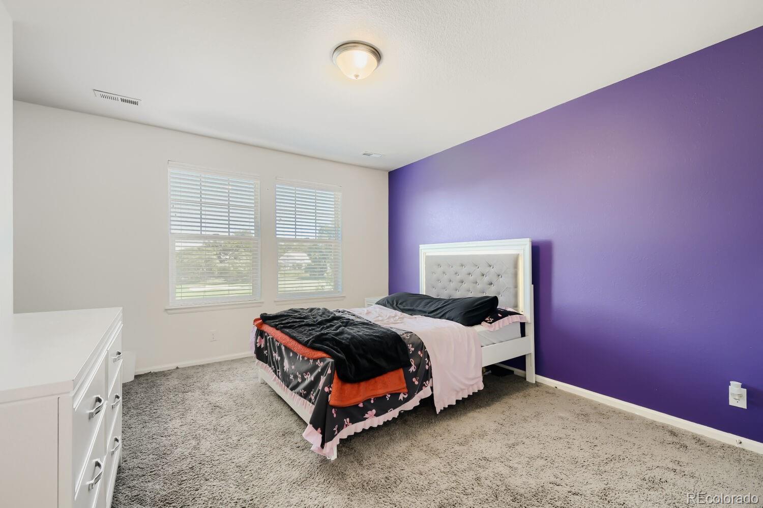 MLS Image #20 for 4964  malaya street,denver, Colorado
