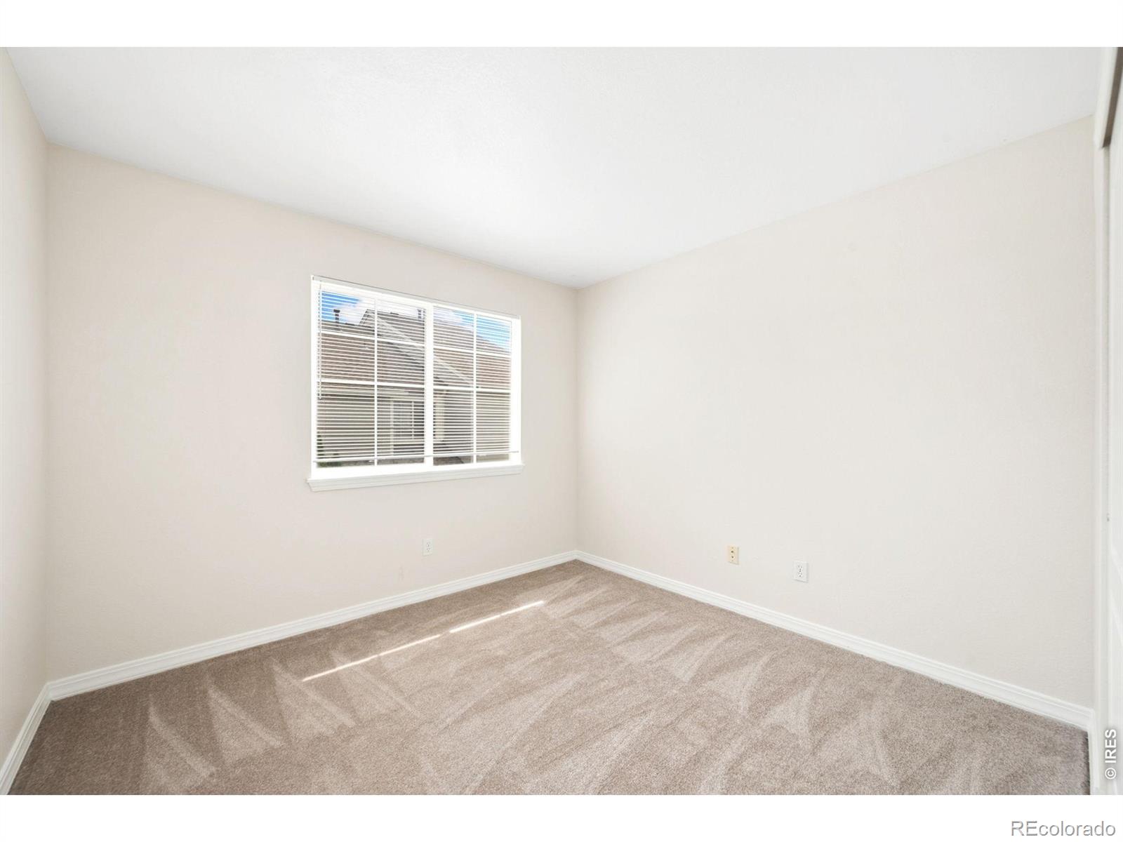 MLS Image #11 for 2602  timberwood drive,fort collins, Colorado
