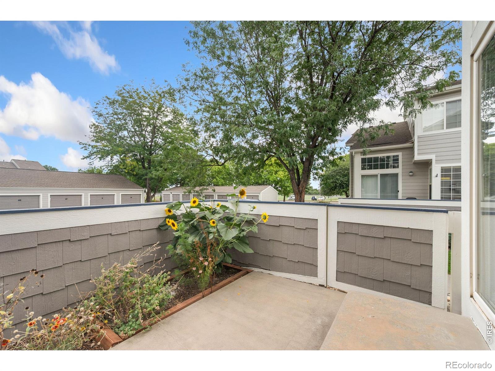 MLS Image #13 for 2602  timberwood drive,fort collins, Colorado