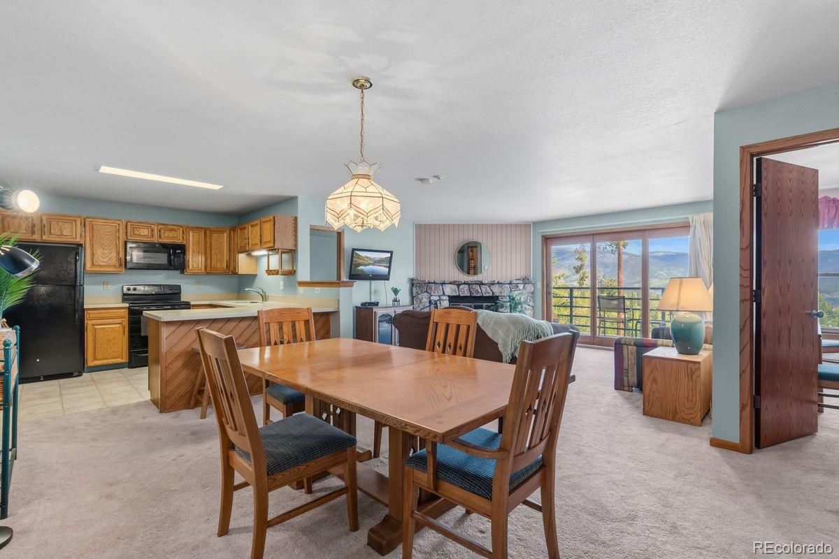 MLS Image #11 for 89310  ryan gulch road,silverthorne, Colorado