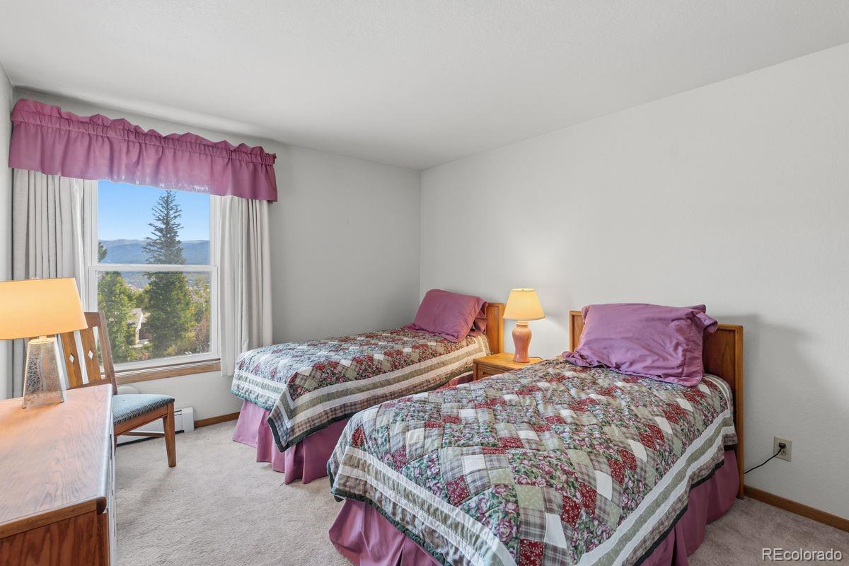 MLS Image #17 for 89310  ryan gulch road,silverthorne, Colorado