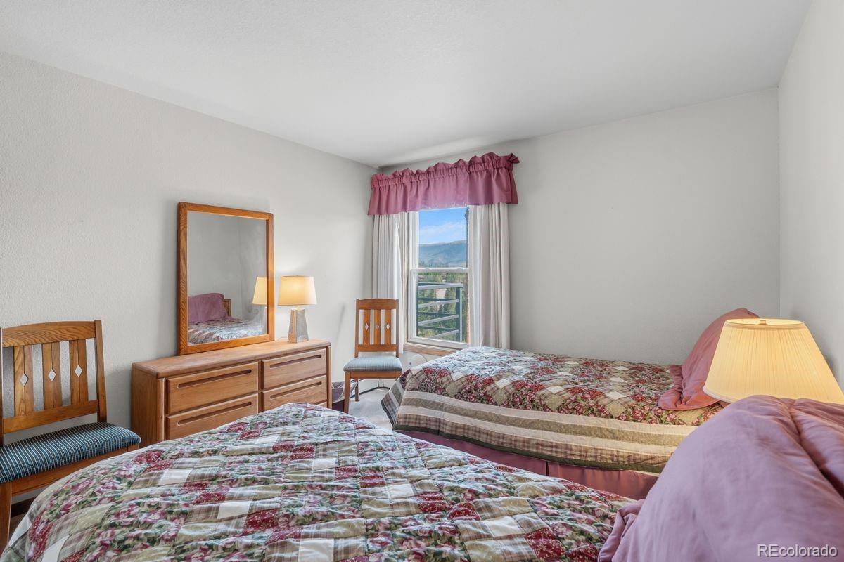 MLS Image #18 for 89310  ryan gulch road,silverthorne, Colorado