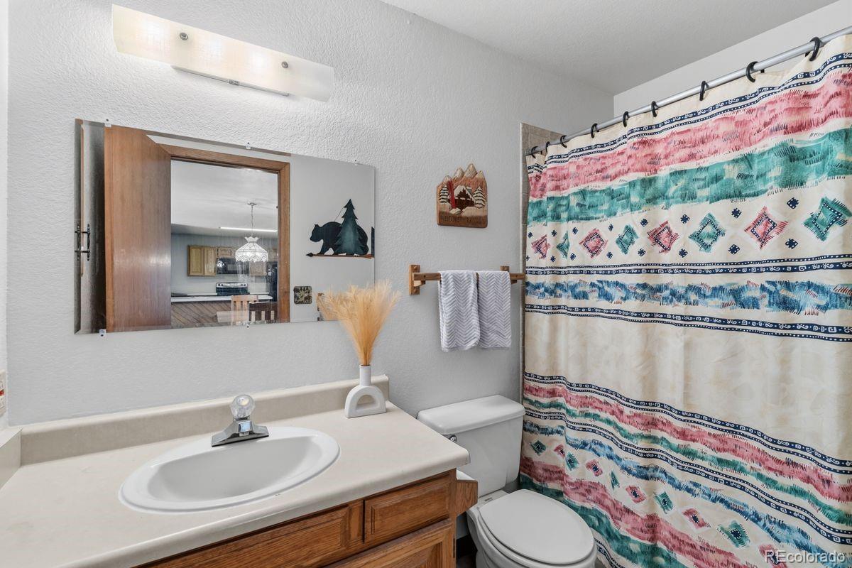 MLS Image #19 for 89310  ryan gulch road,silverthorne, Colorado