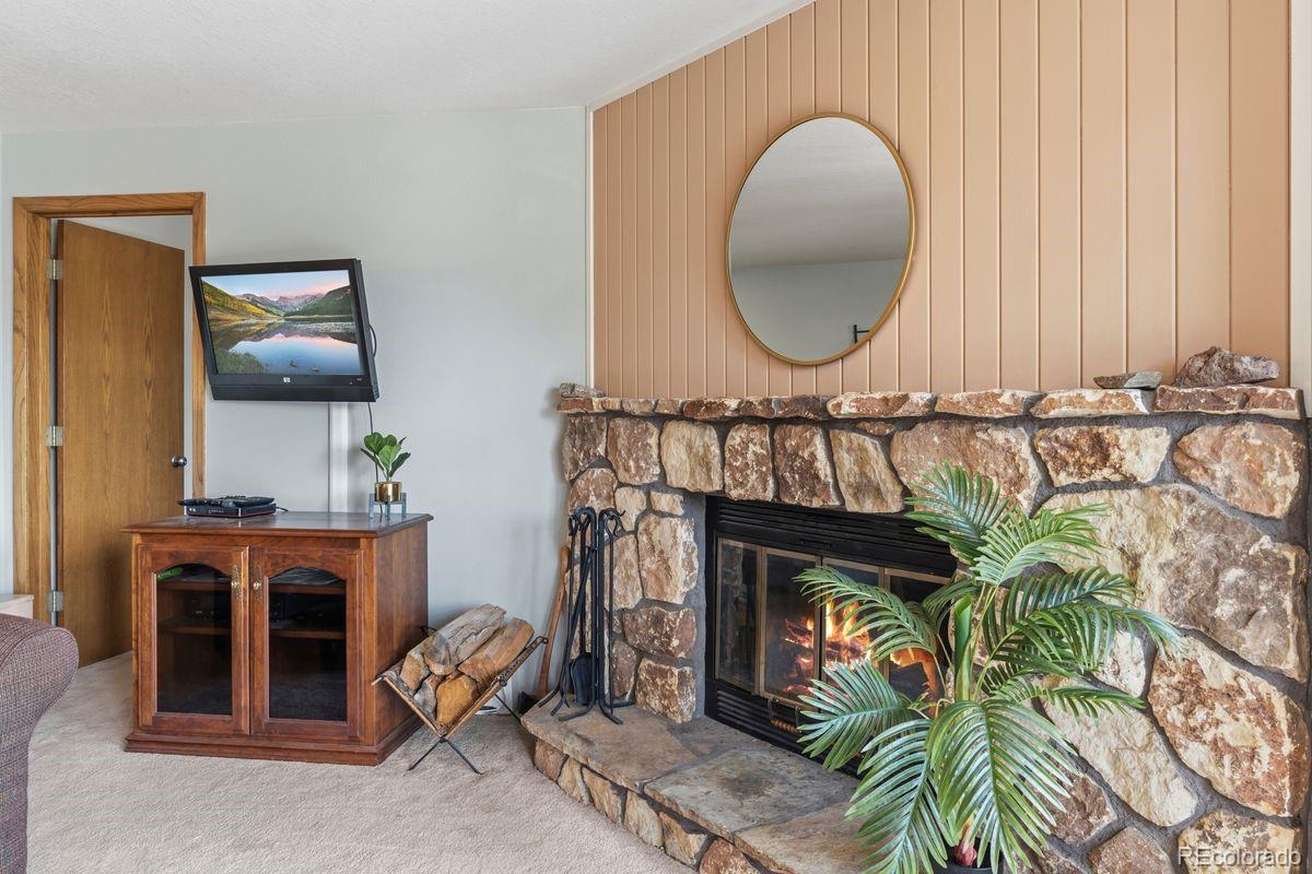 MLS Image #2 for 89310  ryan gulch road,silverthorne, Colorado