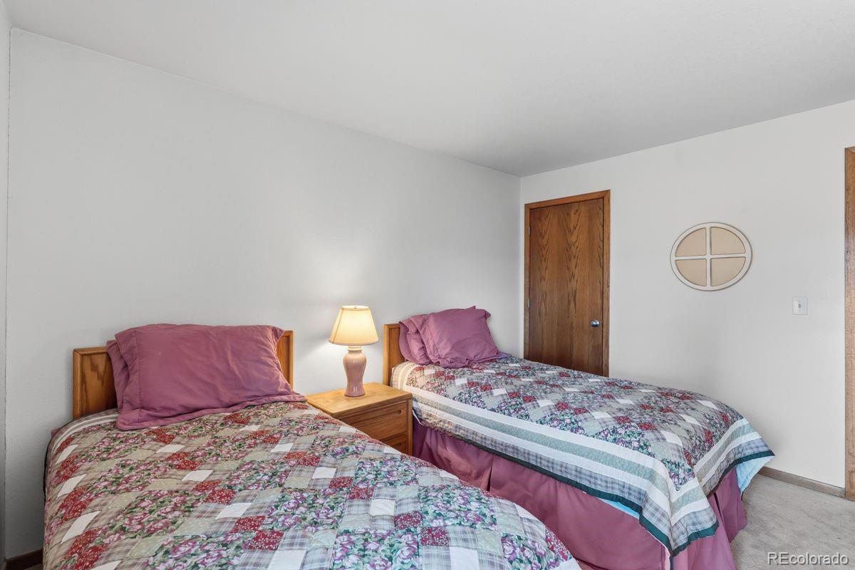 MLS Image #20 for 89310  ryan gulch road,silverthorne, Colorado
