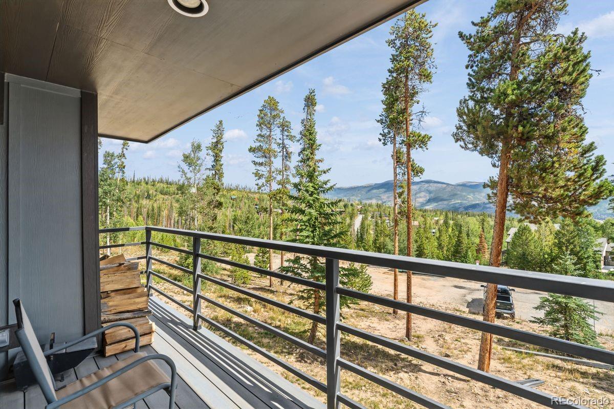 MLS Image #21 for 89310  ryan gulch road,silverthorne, Colorado