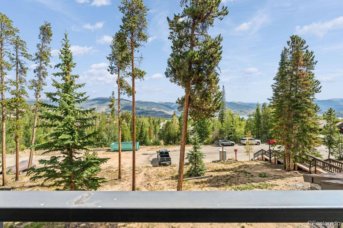 MLS Image #23 for 89310  ryan gulch road,silverthorne, Colorado