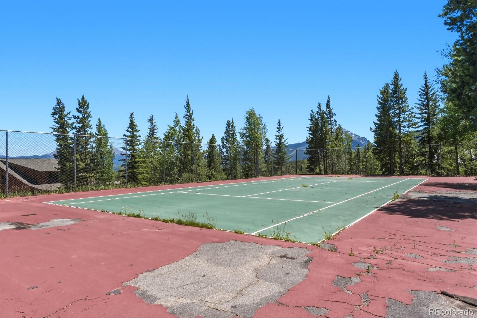 MLS Image #29 for 89310  ryan gulch road,silverthorne, Colorado