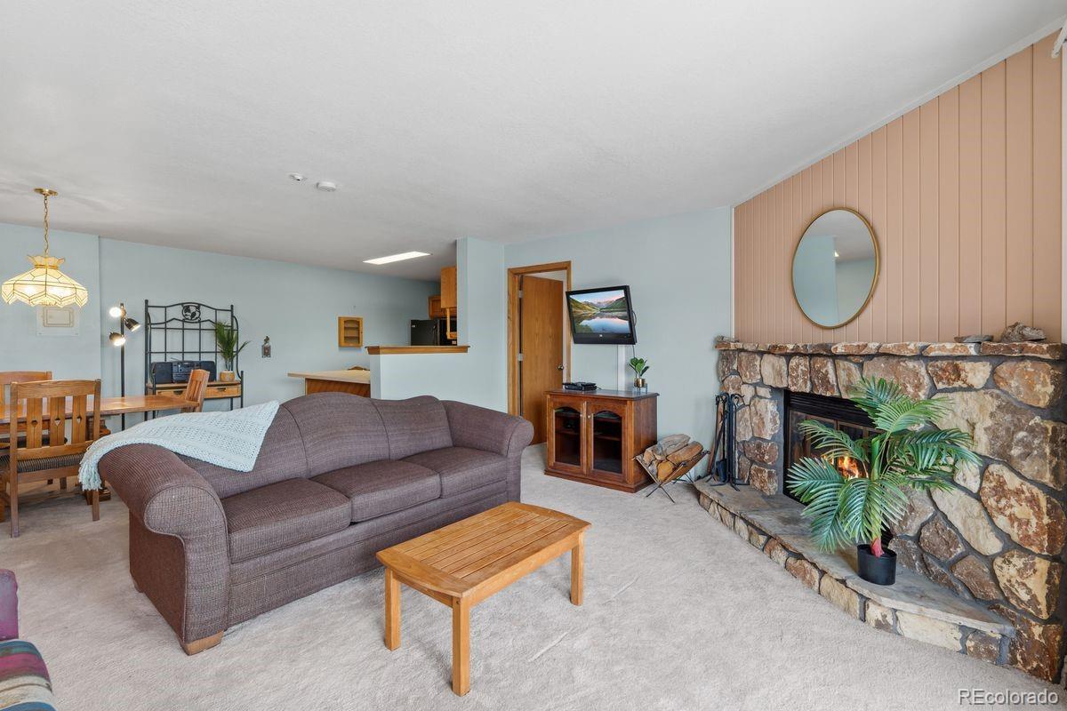 MLS Image #4 for 89310  ryan gulch road,silverthorne, Colorado