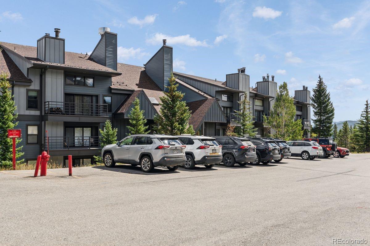 MLS Image #41 for 89310  ryan gulch road,silverthorne, Colorado