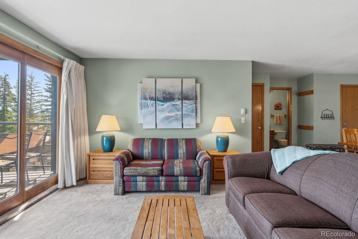 MLS Image #5 for 89310  ryan gulch road,silverthorne, Colorado