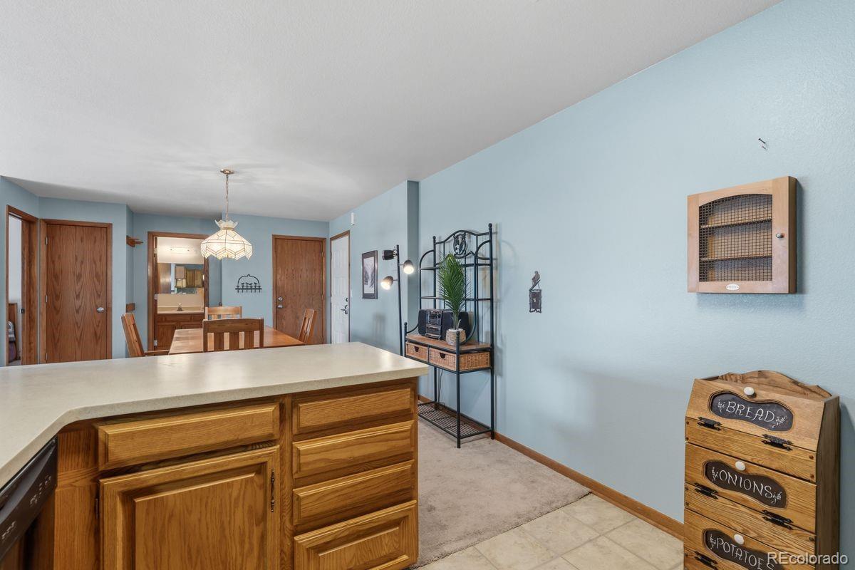 MLS Image #7 for 89310  ryan gulch road,silverthorne, Colorado