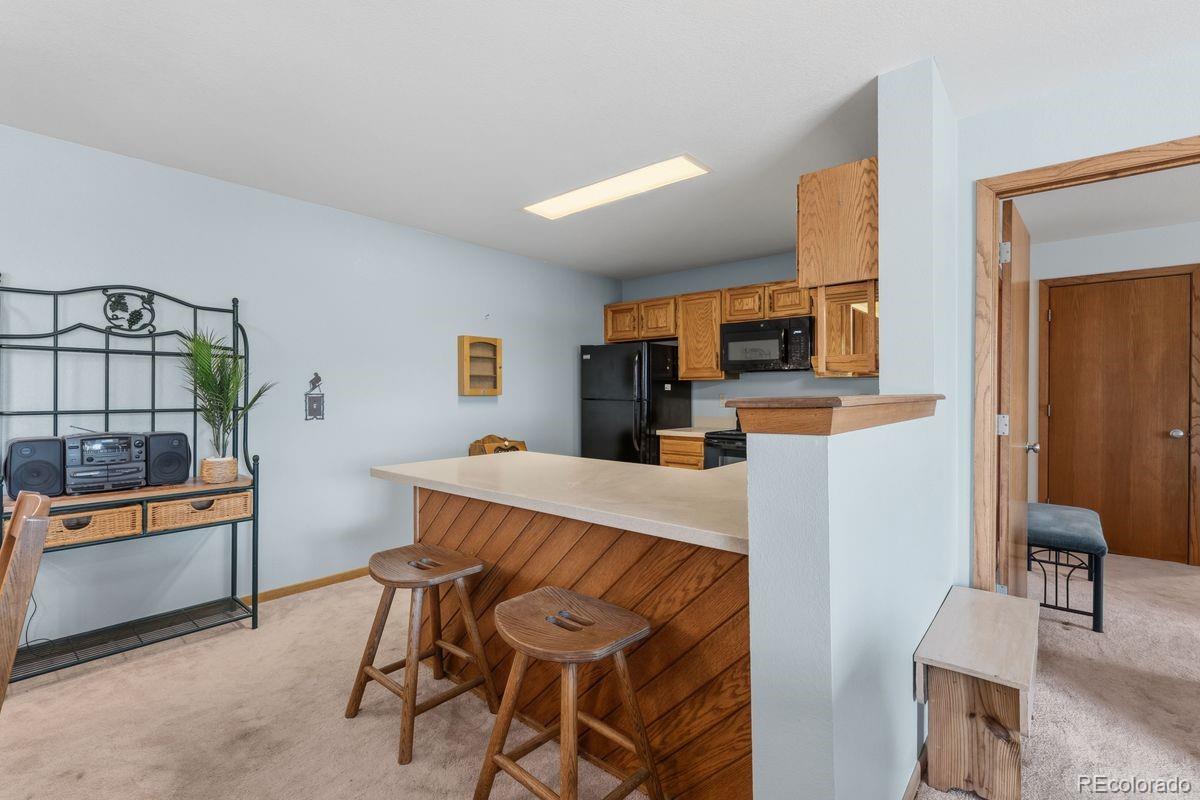 MLS Image #8 for 89310  ryan gulch road,silverthorne, Colorado