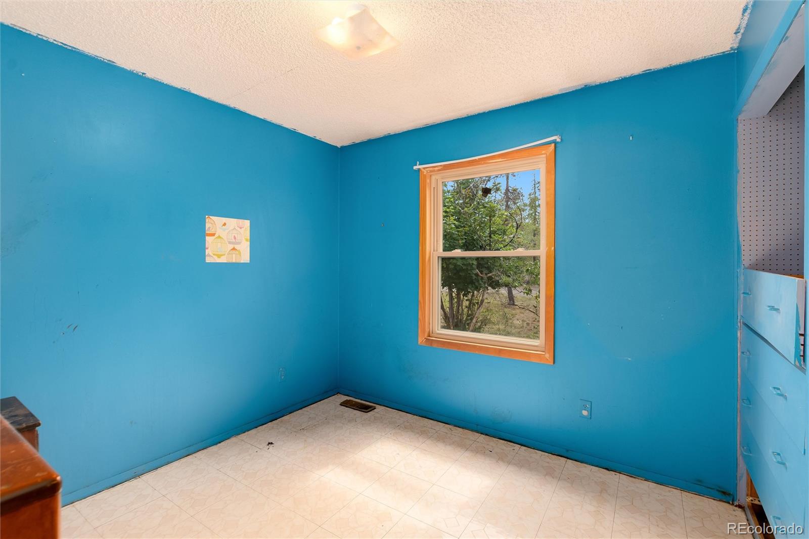 MLS Image #18 for 10444  crystal drive,morrison, Colorado