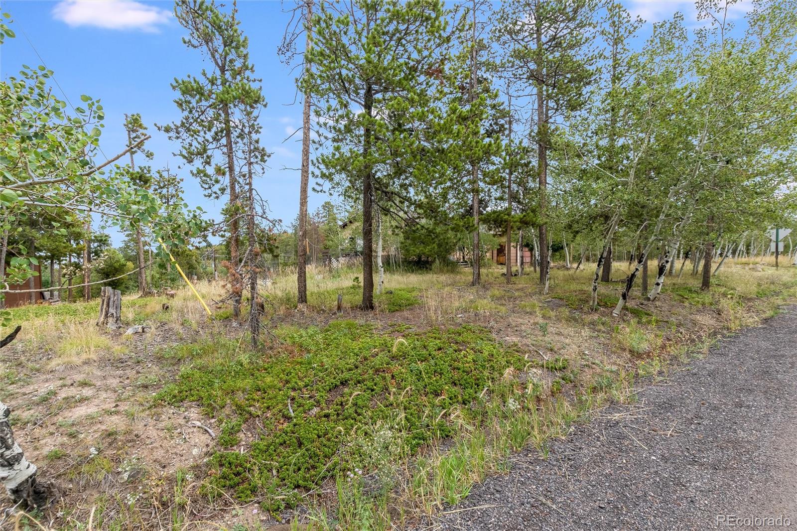 MLS Image #30 for 10444  crystal drive,morrison, Colorado