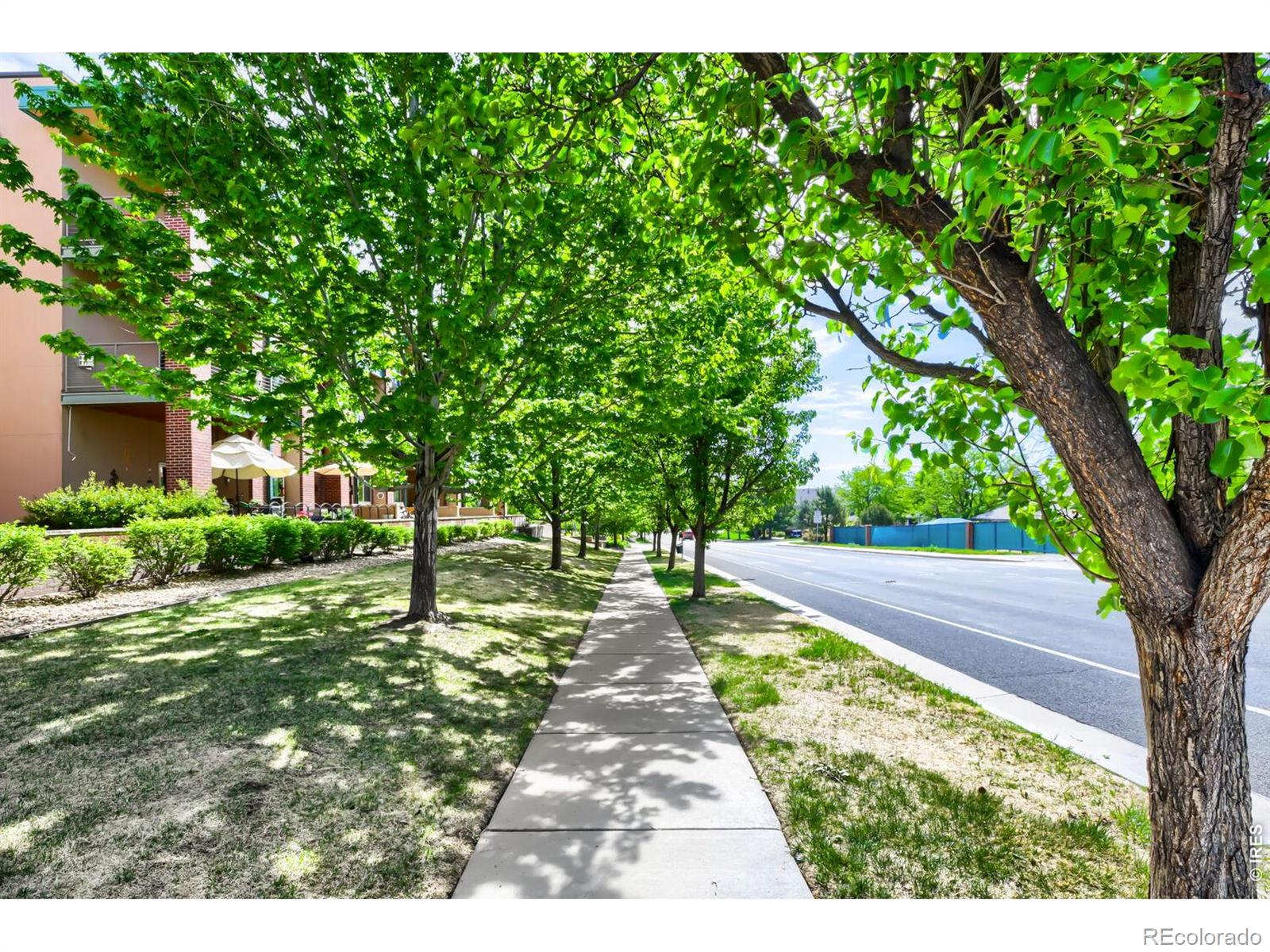 MLS Image #24 for 1053 w century drive,louisville, Colorado