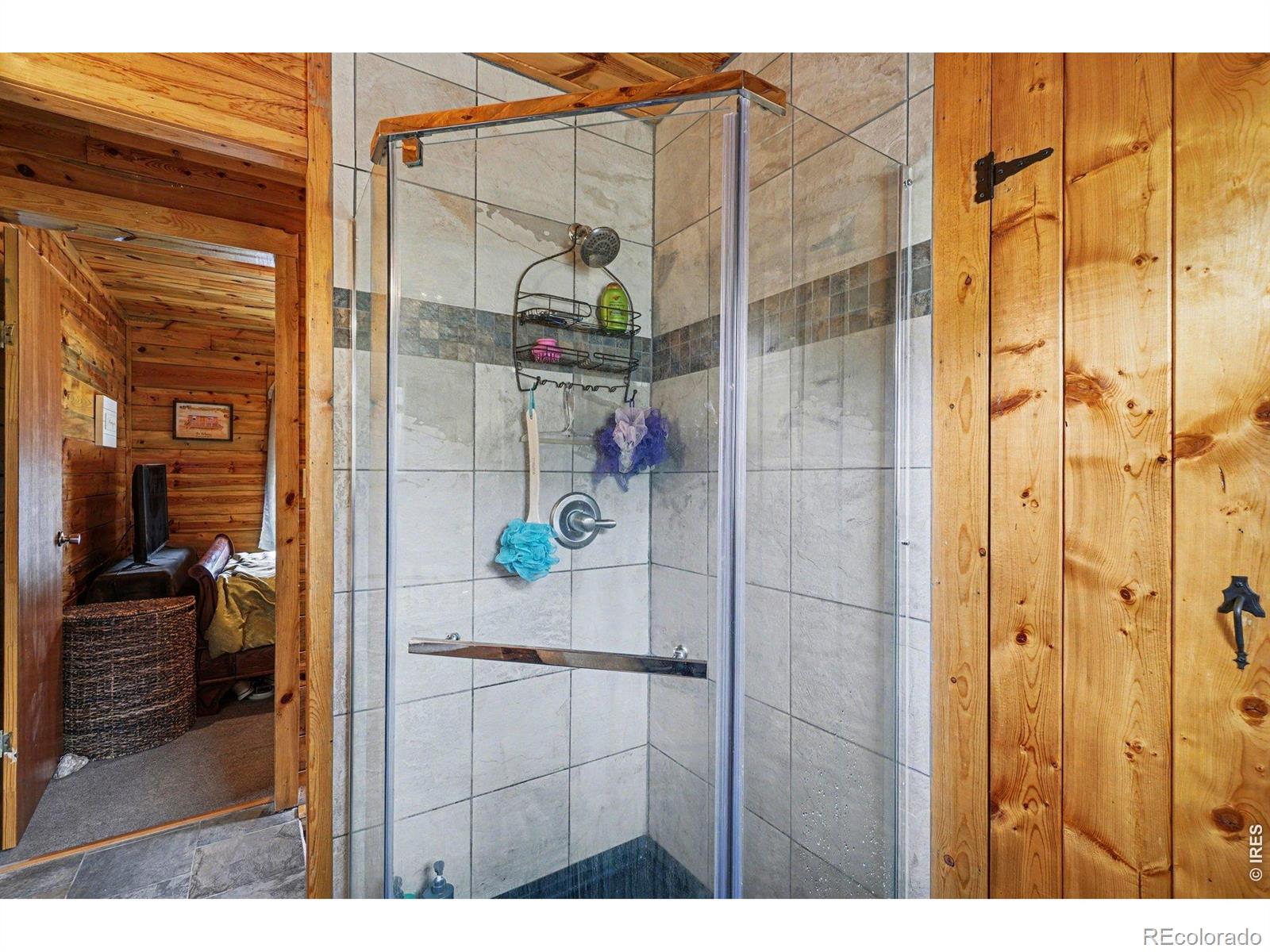 MLS Image #11 for 28  possum court,drake, Colorado