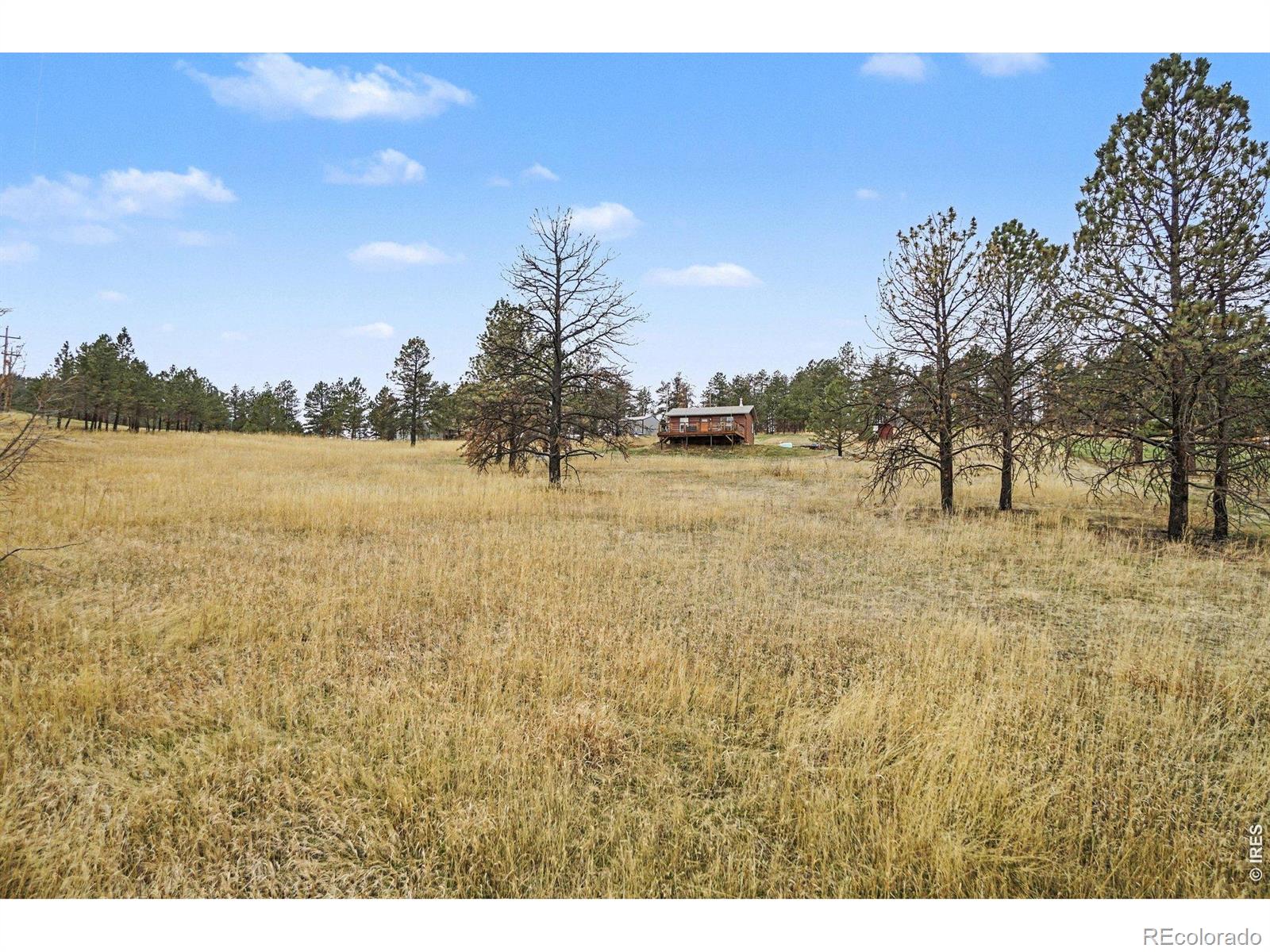 MLS Image #21 for 28  possum court,drake, Colorado