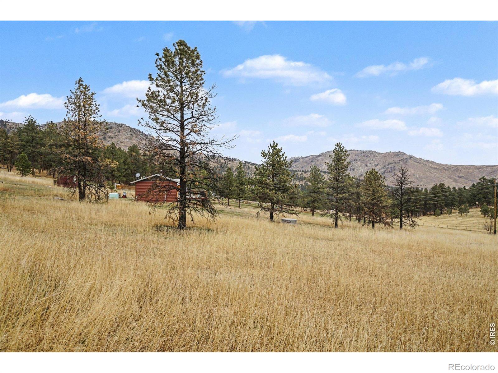 MLS Image #22 for 28  possum court,drake, Colorado