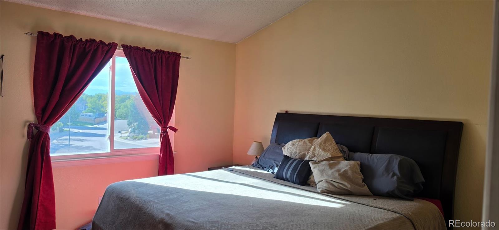 MLS Image #4 for 12137  hudson court,thornton, Colorado