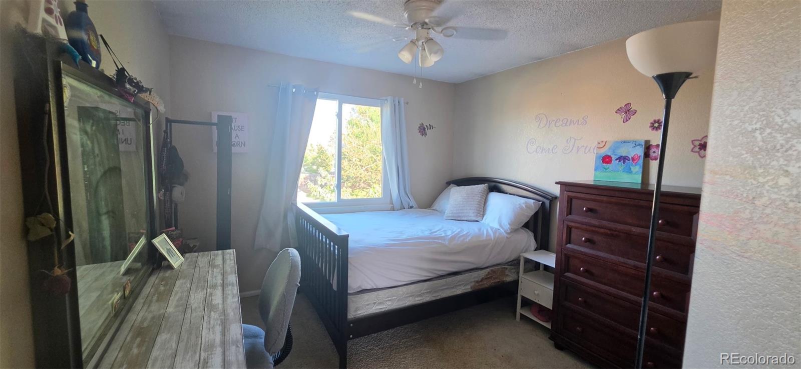 MLS Image #6 for 12137  hudson court,thornton, Colorado