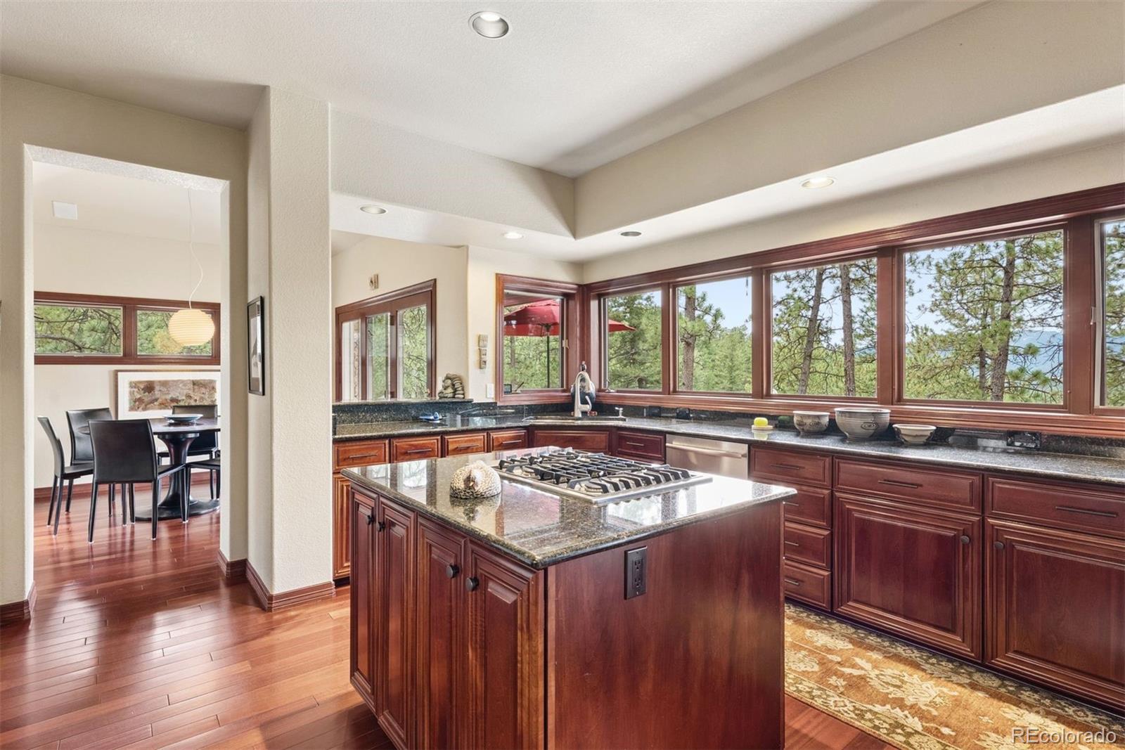 MLS Image #13 for 25478  foothills drive,golden, Colorado