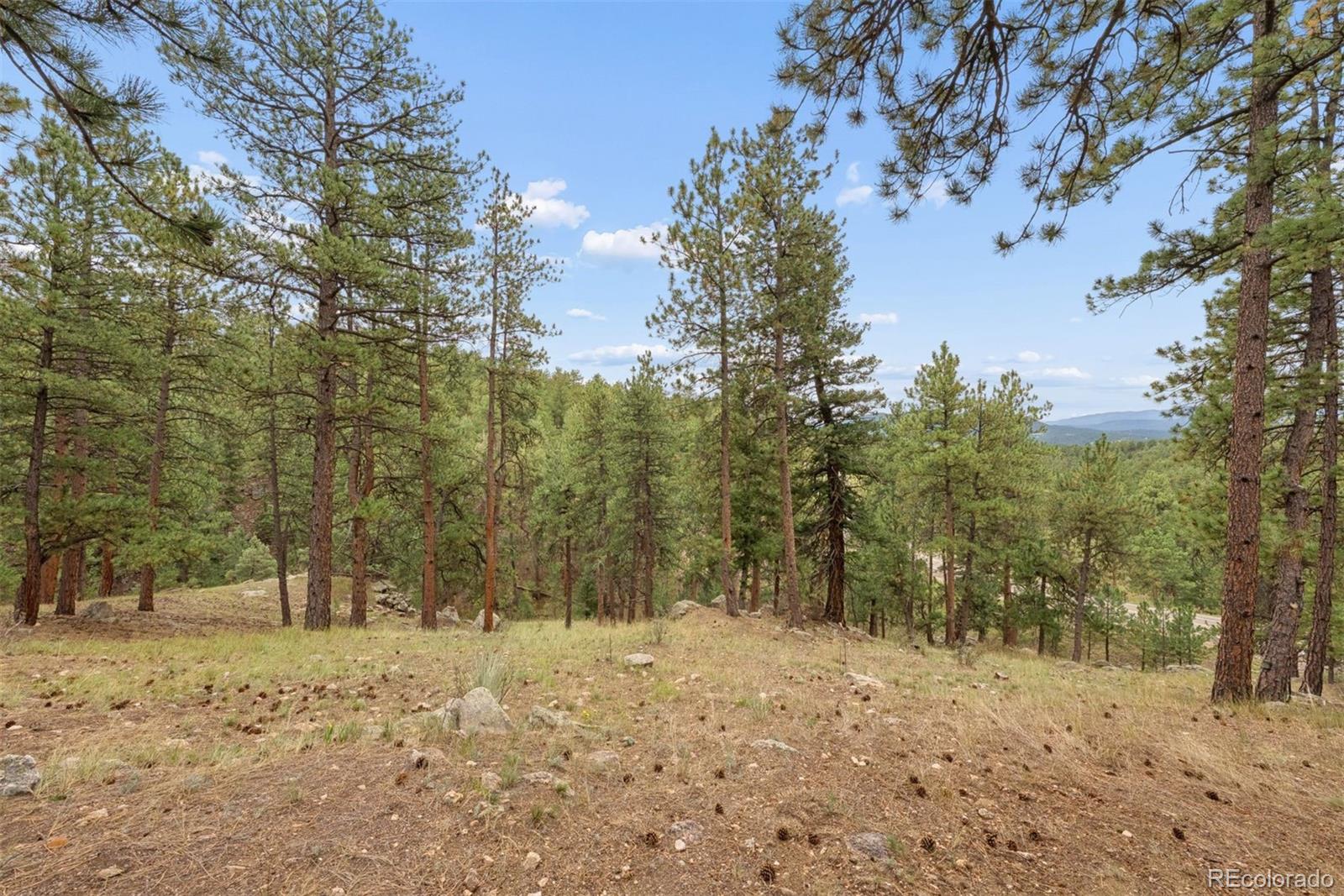 MLS Image #30 for 25478  foothills drive,golden, Colorado
