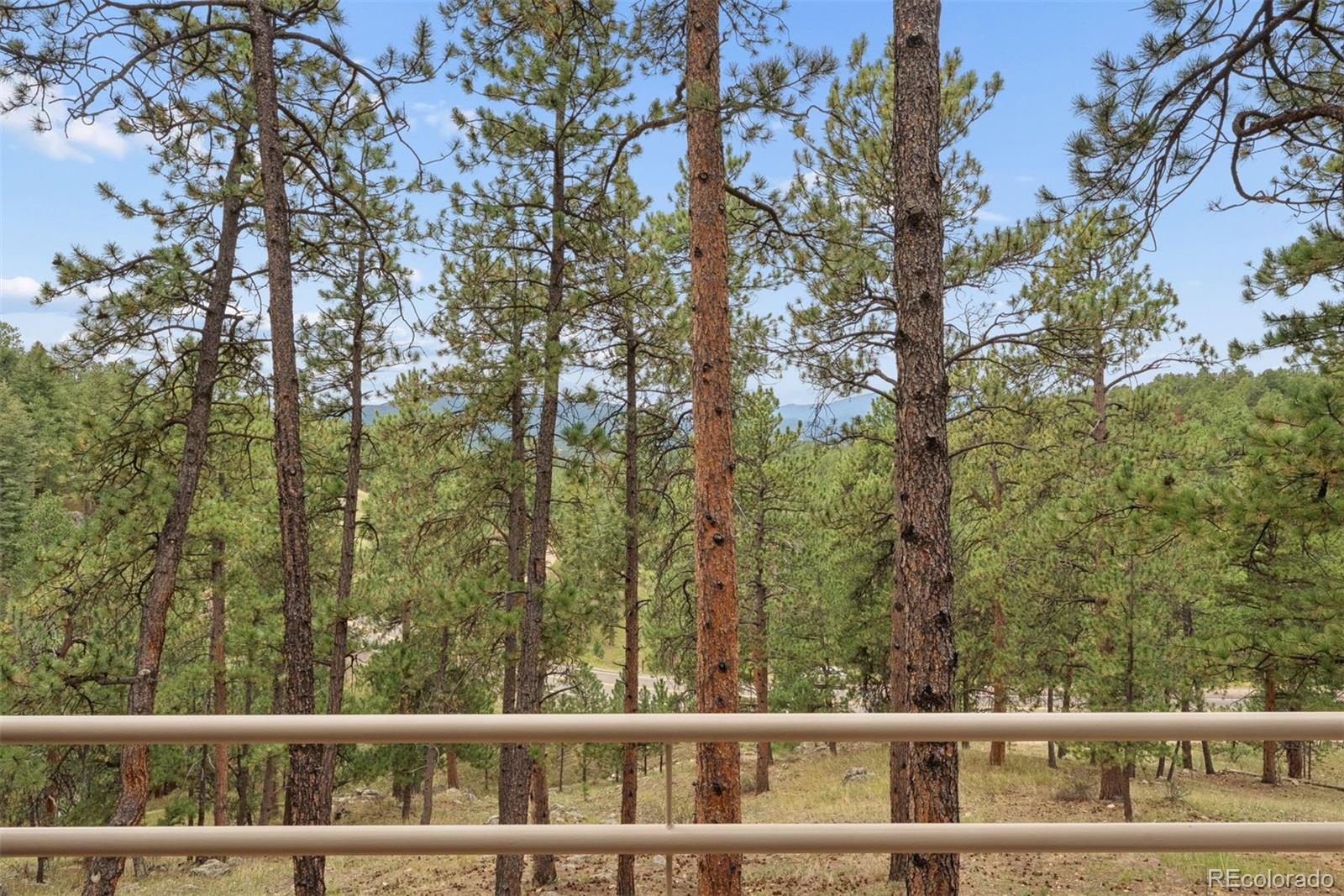 MLS Image #5 for 25478  foothills drive,golden, Colorado