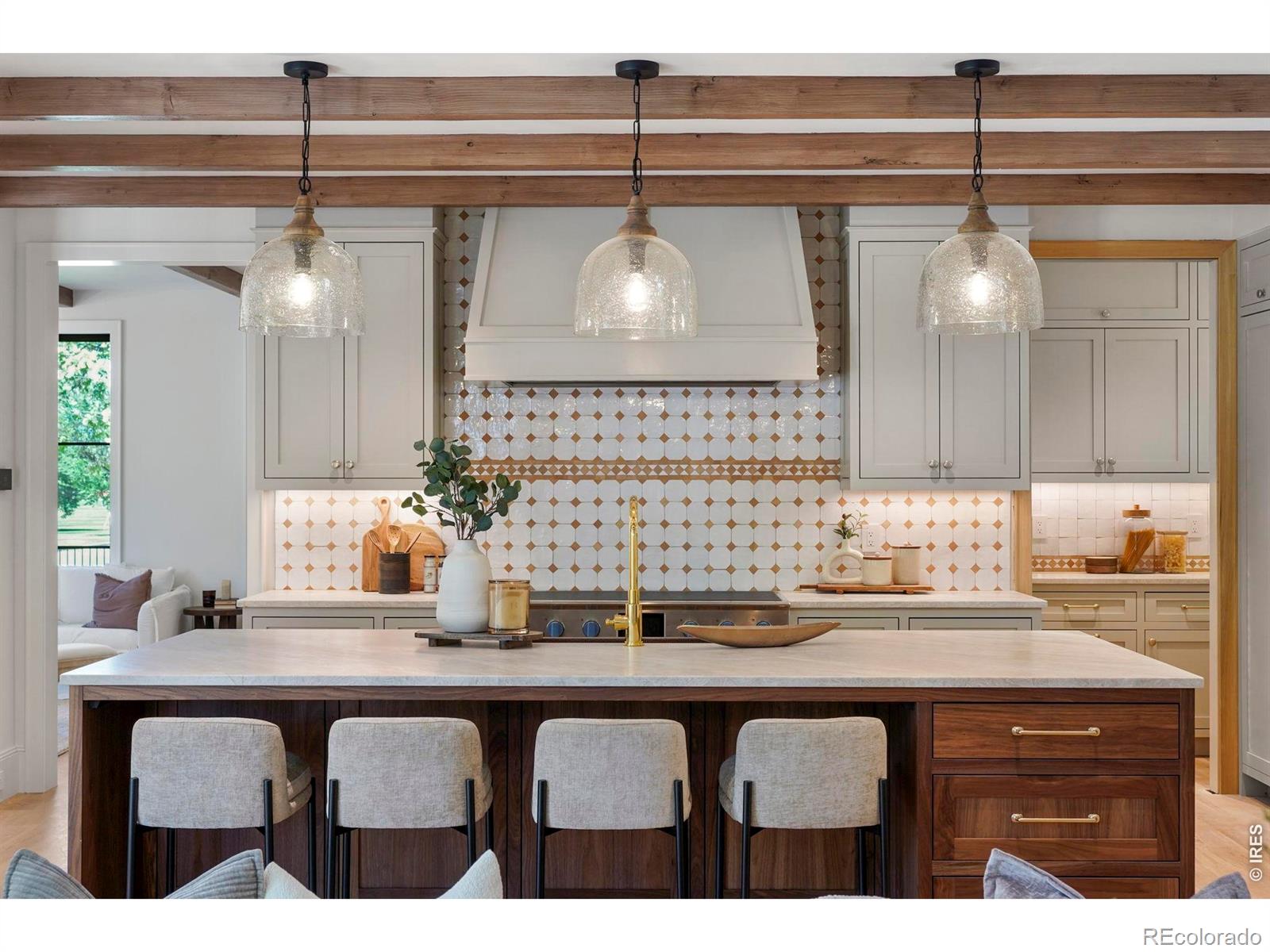 MLS Image #10 for 888 s franklin street,denver, Colorado