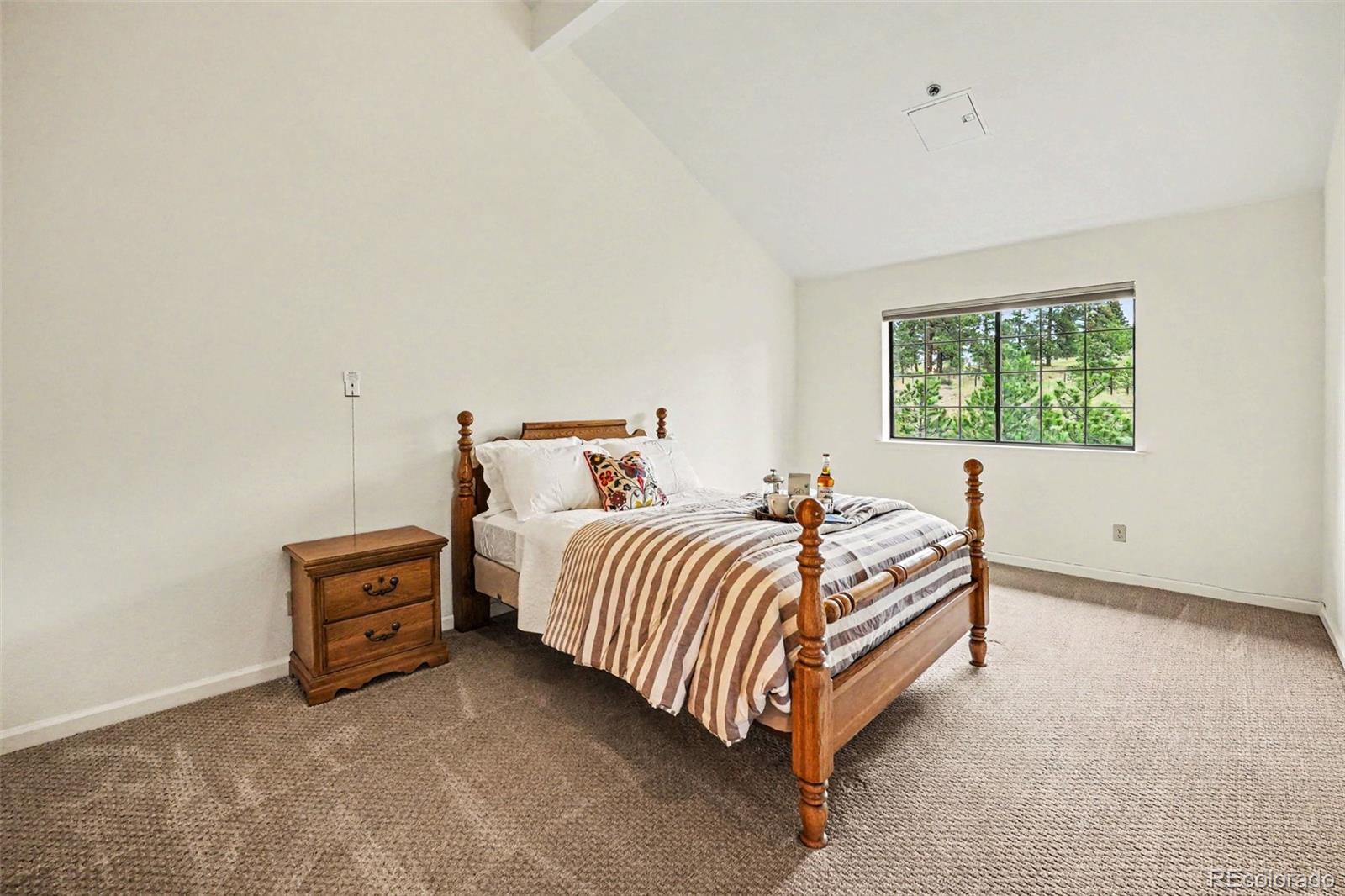MLS Image #11 for 31719  rocky village drive,evergreen, Colorado