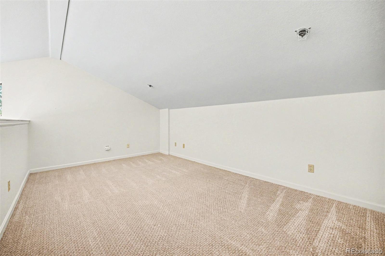 MLS Image #19 for 31719  rocky village drive,evergreen, Colorado