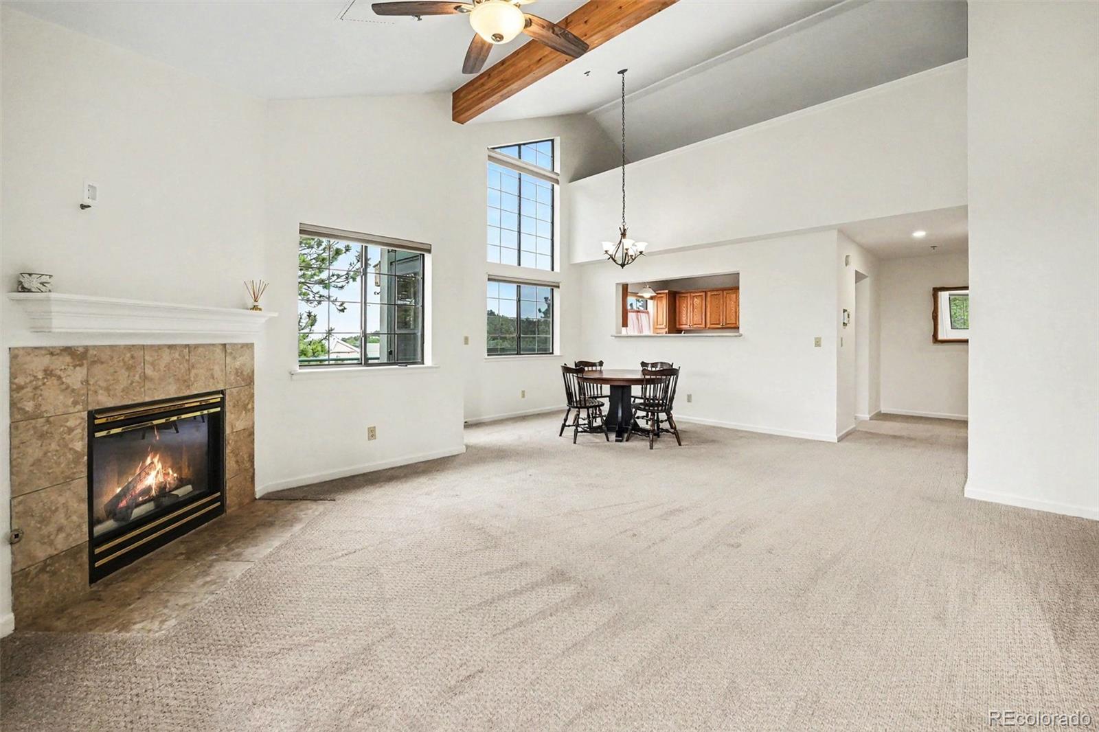 MLS Image #4 for 31719  rocky village drive,evergreen, Colorado