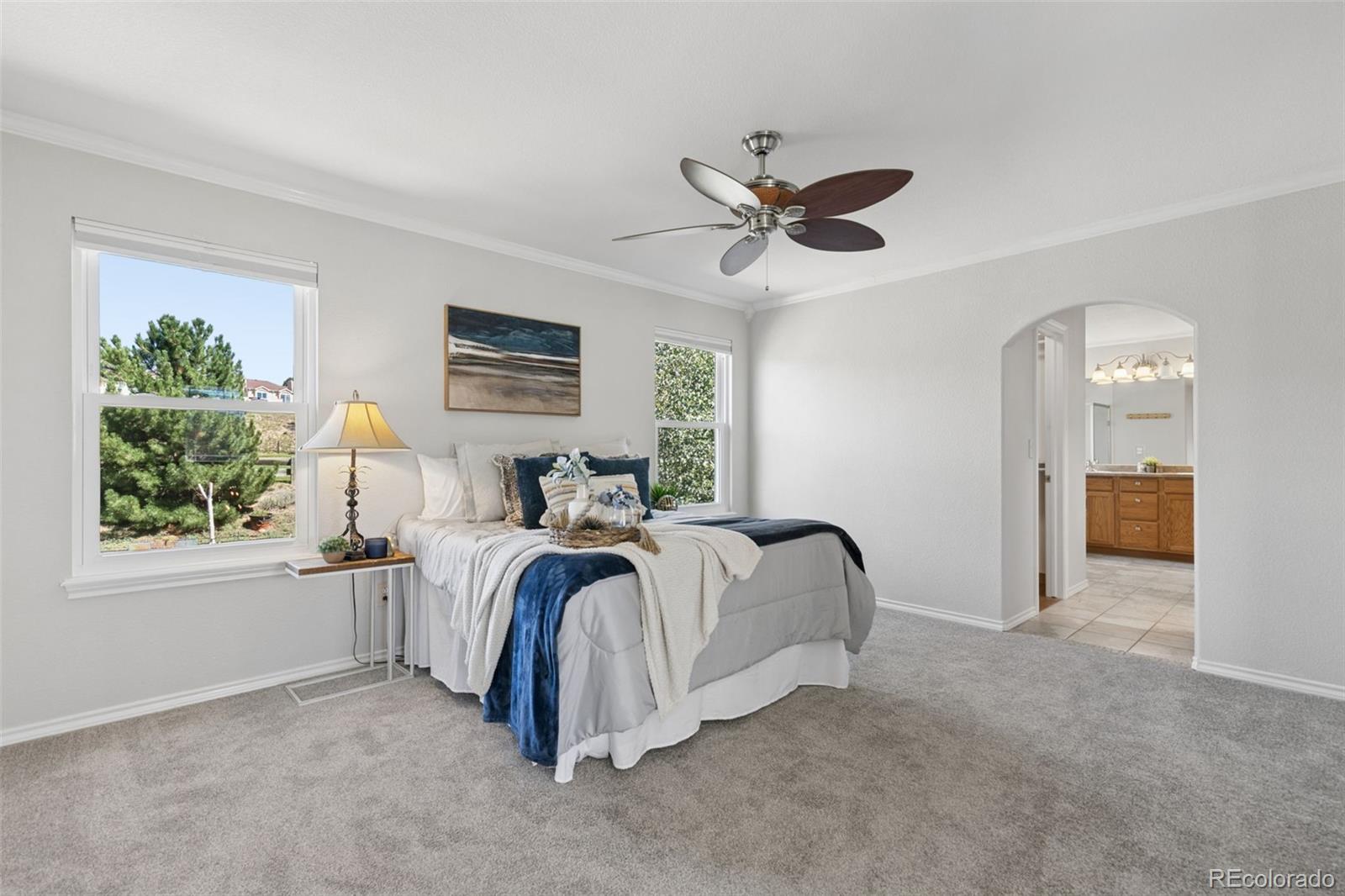 MLS Image #24 for 1622  lookout springs drive,colorado springs, Colorado