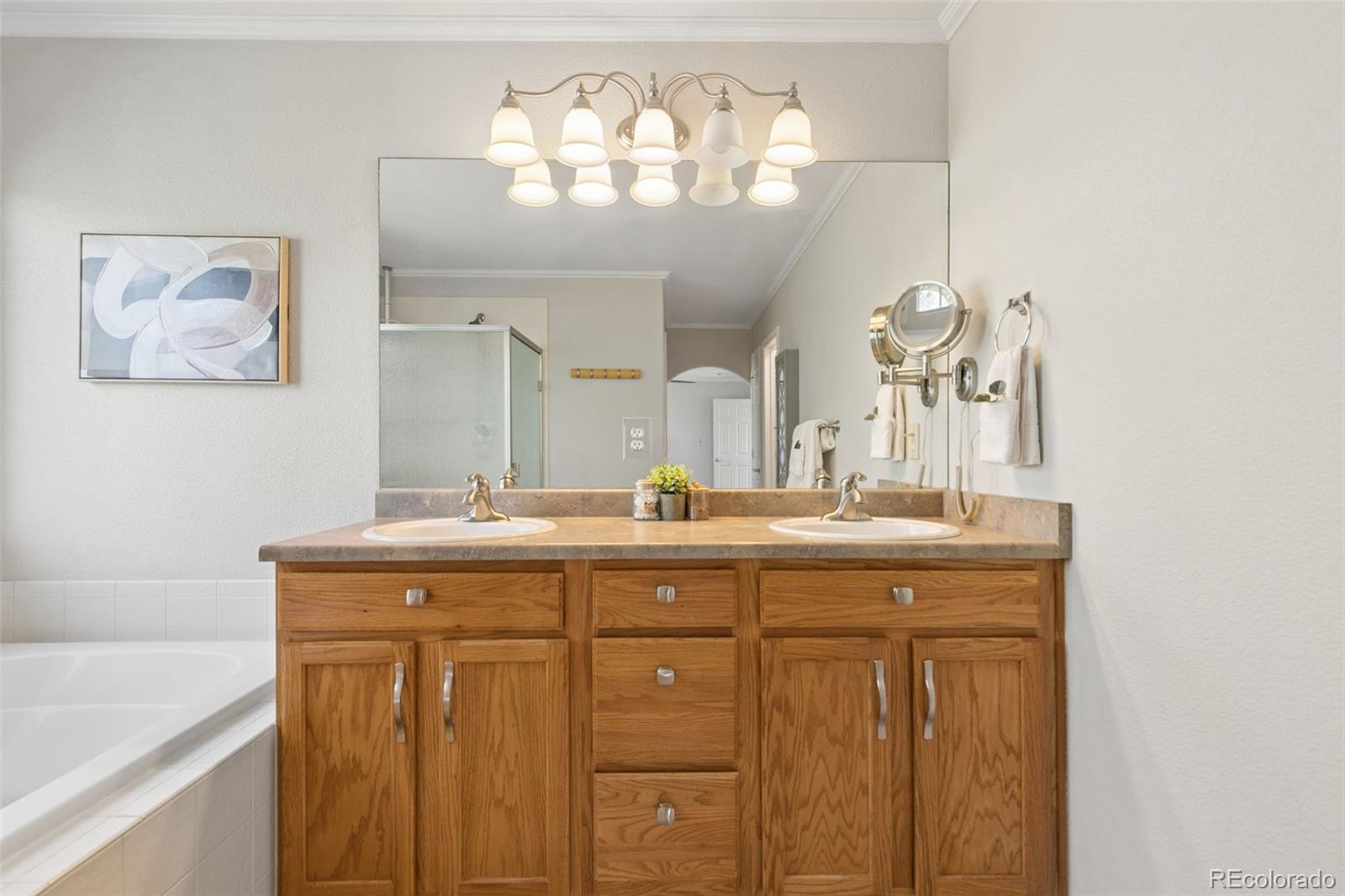 MLS Image #27 for 1622  lookout springs drive,colorado springs, Colorado